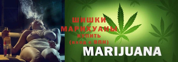 mdpv Каменногорск