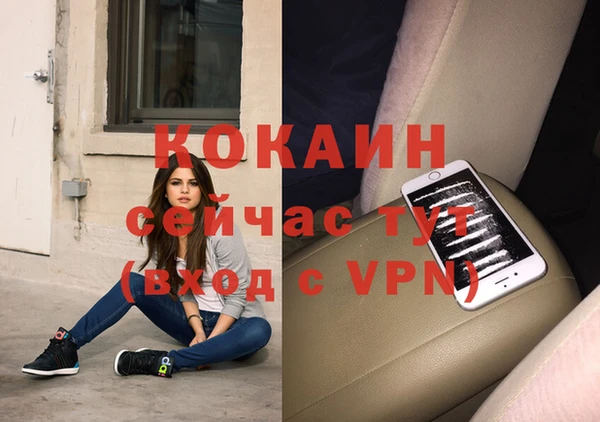 mdpv Каменногорск