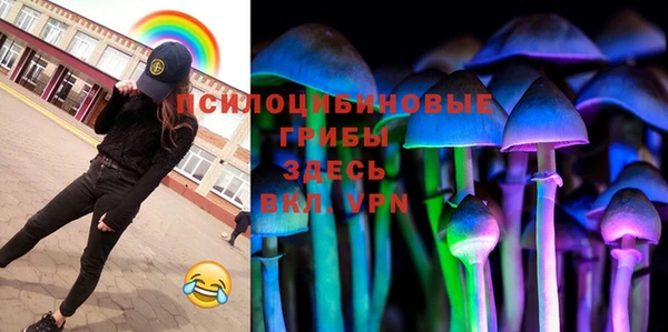 МДМА Каменка