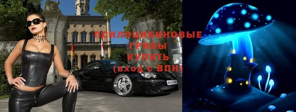 mdpv Каменногорск